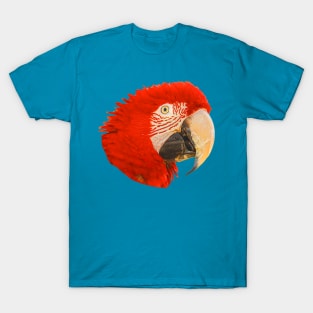 Macaw T-Shirt